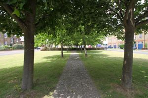 Photo 11- click for photo gallery